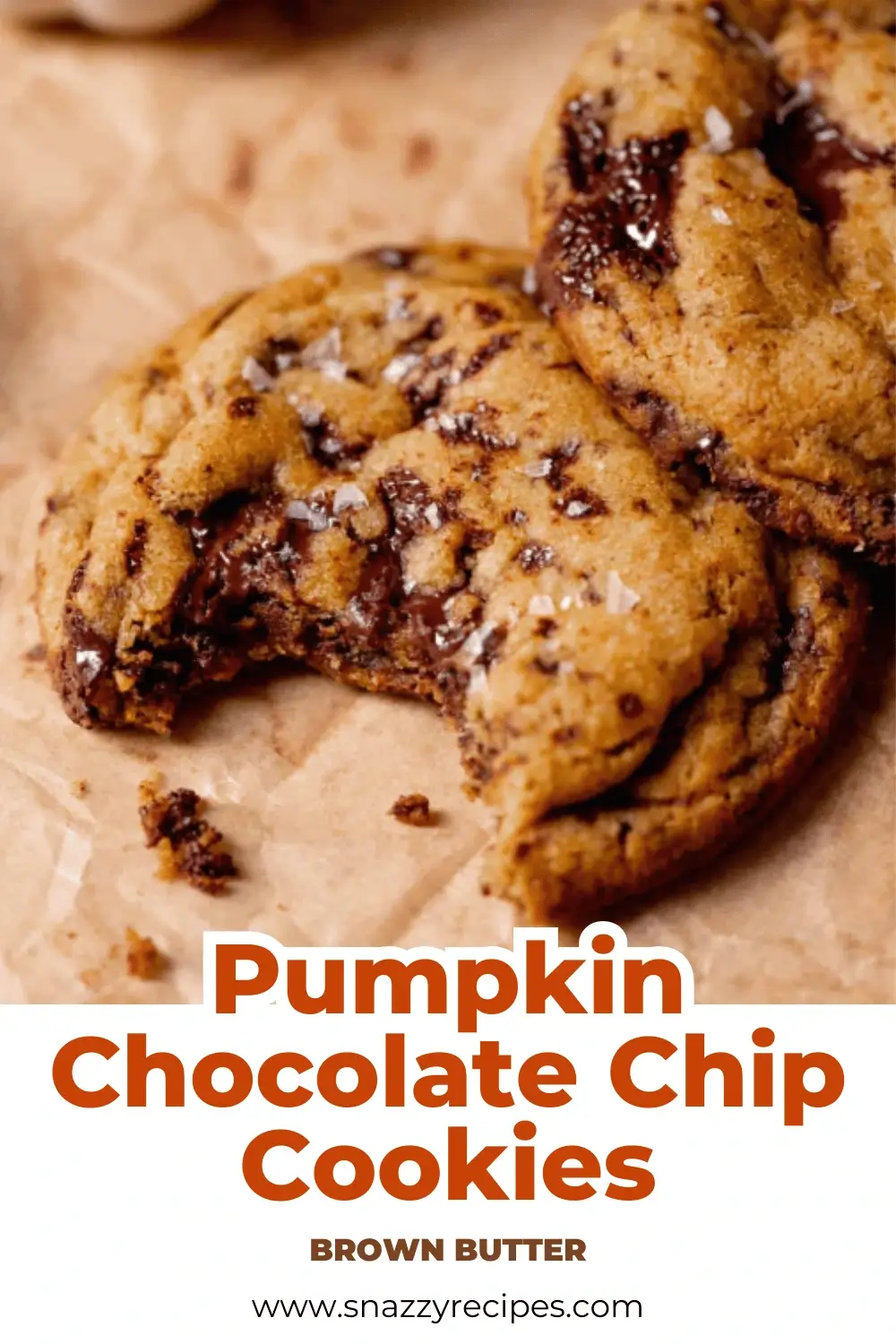 Chewy Pumpkin Chocolate Chip Cookies
