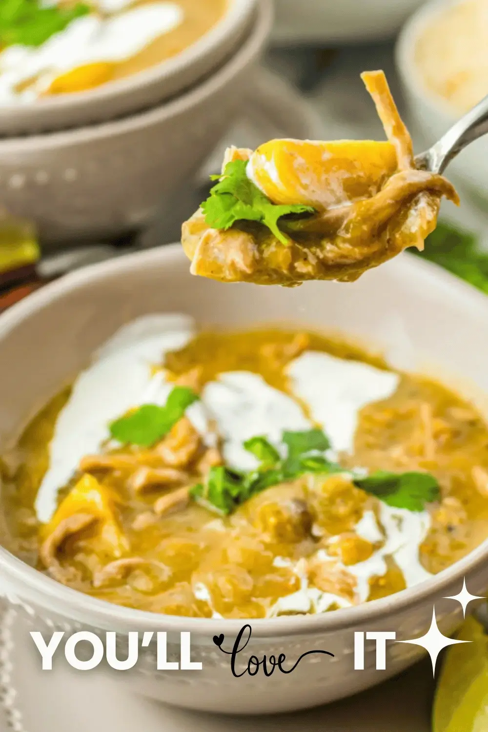Colorado Green Chili with Chicken Thighs