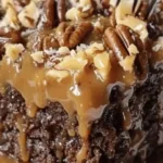 Moist German Chocolate Poke Cake topped with coconut-pecan frosting
